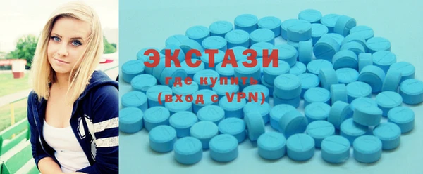 стаф Инта