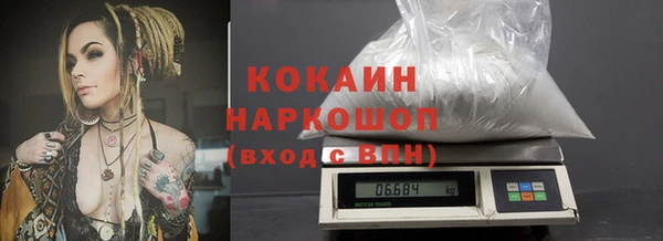 стаф Инта