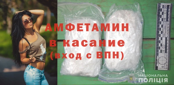 стаф Инта