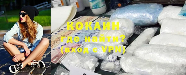 стаф Инта